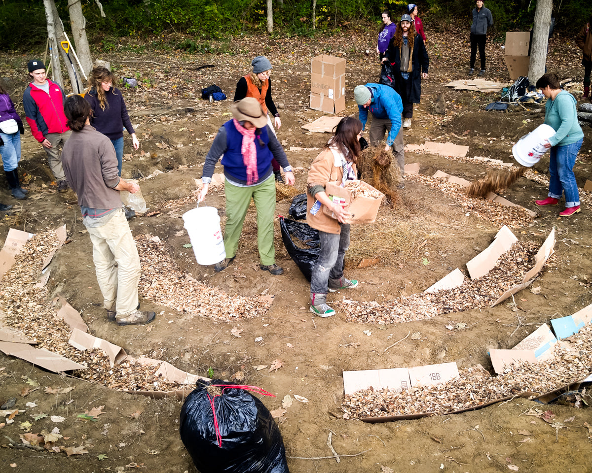 Mycelial Installations